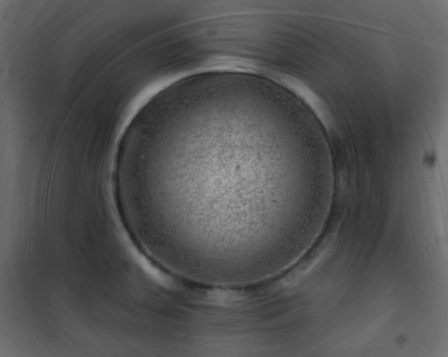 X0000101471379200807141341