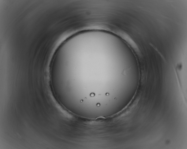 X0000101471380200807141341