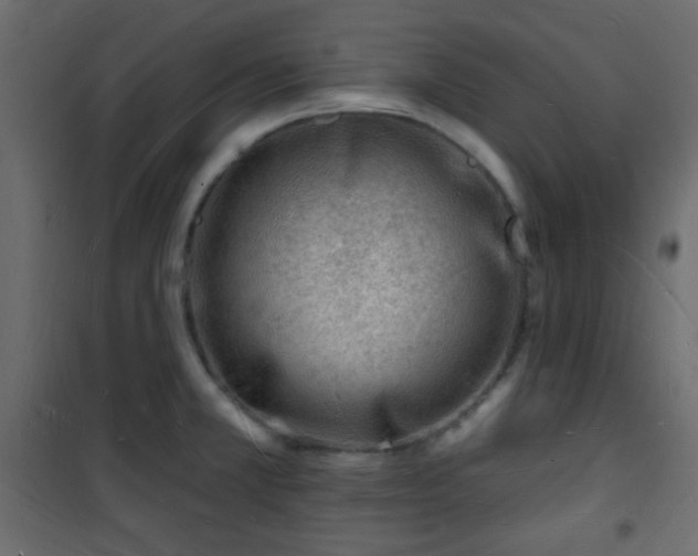 X0000101471381200807141341