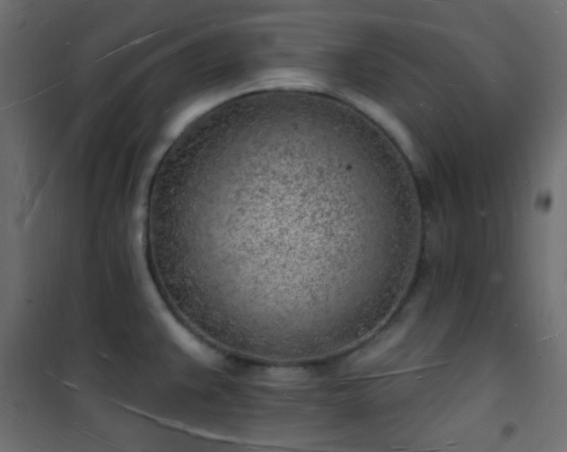 X0000101471383200807141341