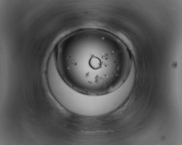 X0000101471384200807141340