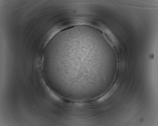 X0000101471385200807141340