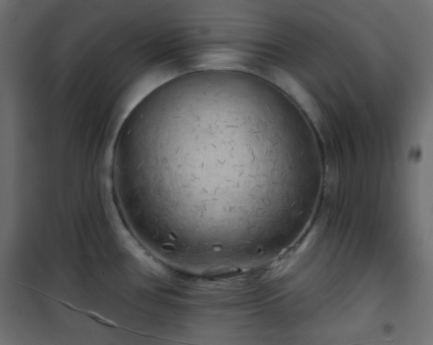 X0000101471386200807141340