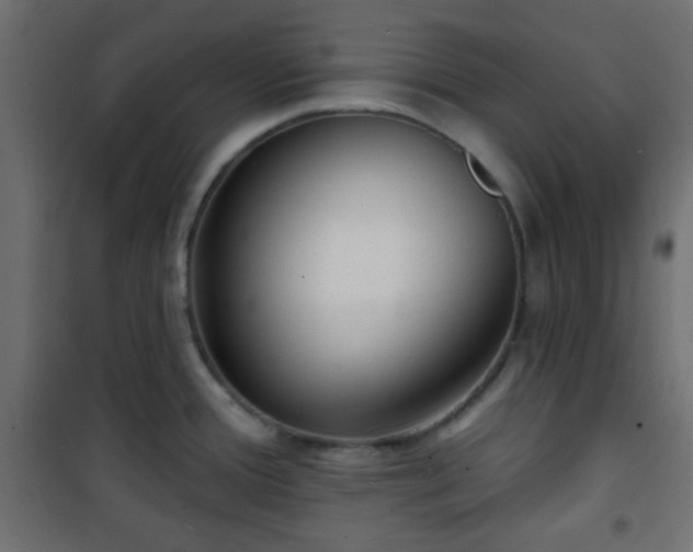 X0000101471388200807141340