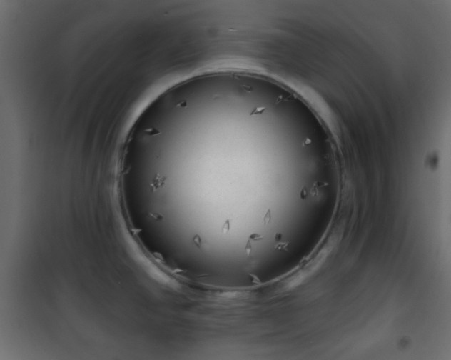 X0000101471390200807141340