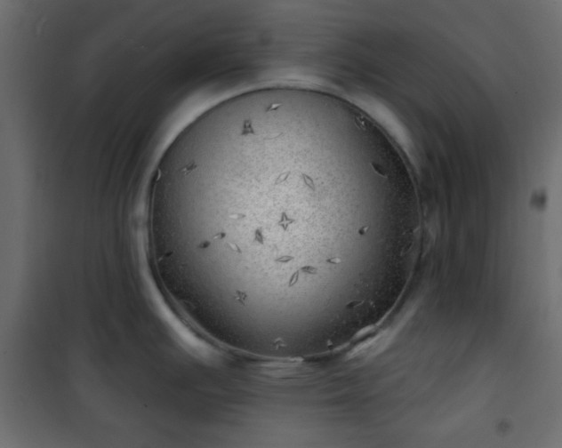 X0000101471391200807141340