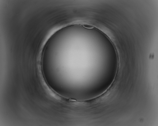 X0000101471392200807141340