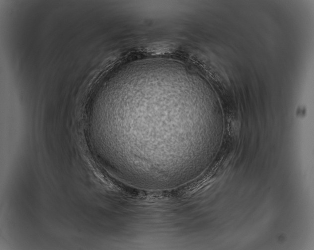 X0000101471393200807141340