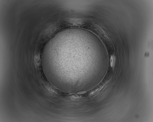X0000101471395200807141340