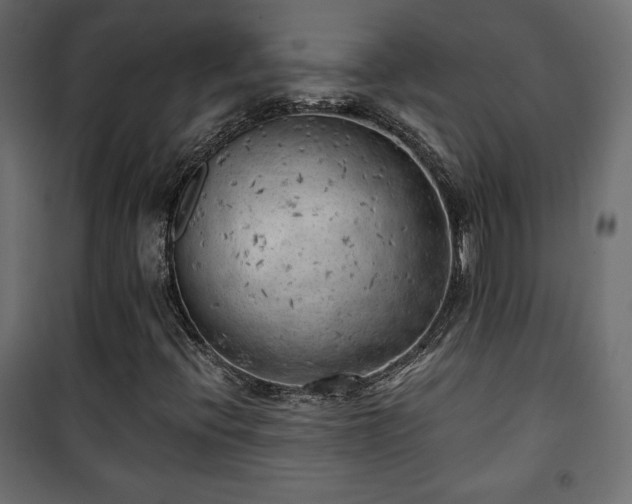 X0000101471396200807141340