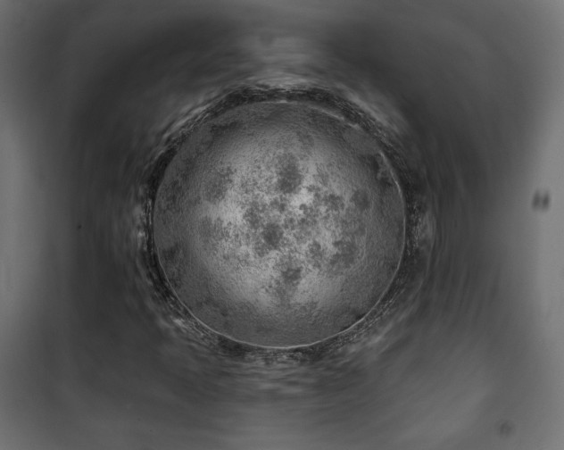 X0000101471397200807141340