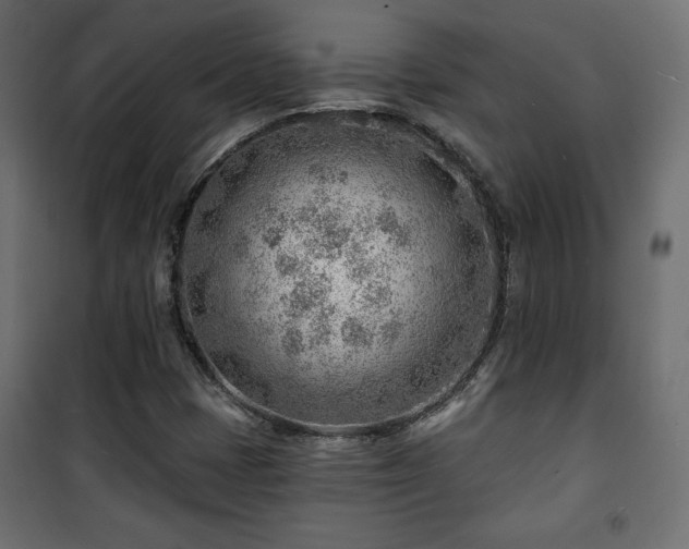 X0000101471401200807141340