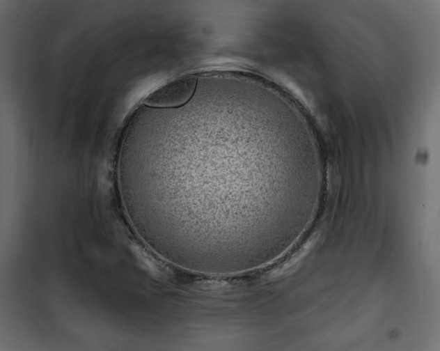 X0000101471405200807141340