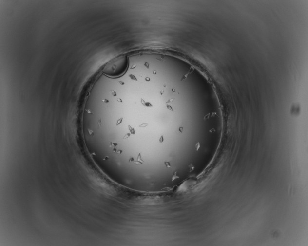 X0000101471410200807141340