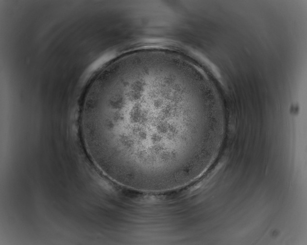 X0000101471411200807141340