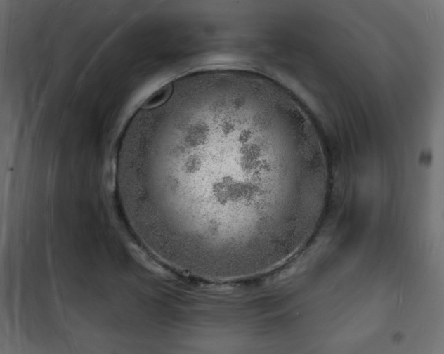 X0000101471413200807141340