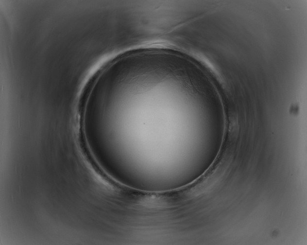 X0000101471414200807141340
