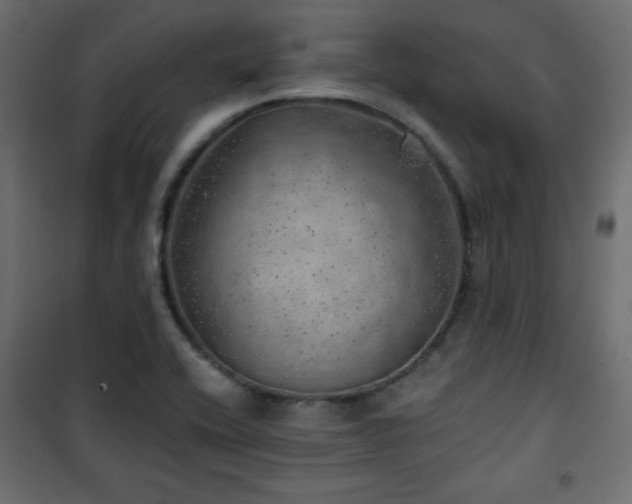 X0000101471416200807141340