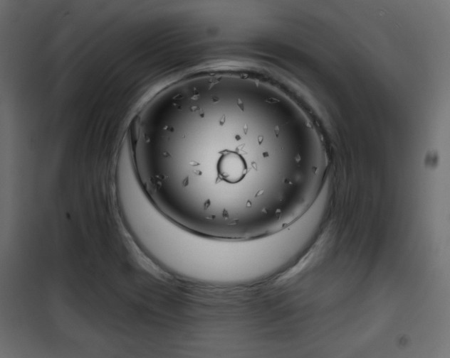 X0000101471417200807141340