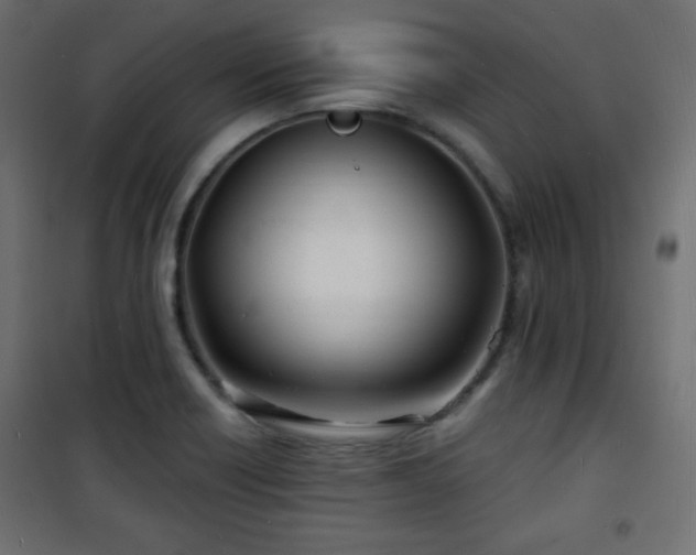 X0000101471418200807141340