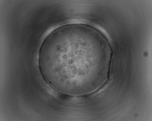 X0000101471419200807141340