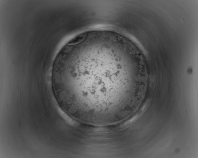 X0000101471421200807141340