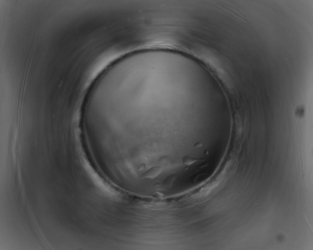 X0000101471422200807141340