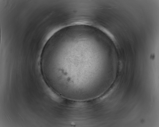 X0000101471423200807141340