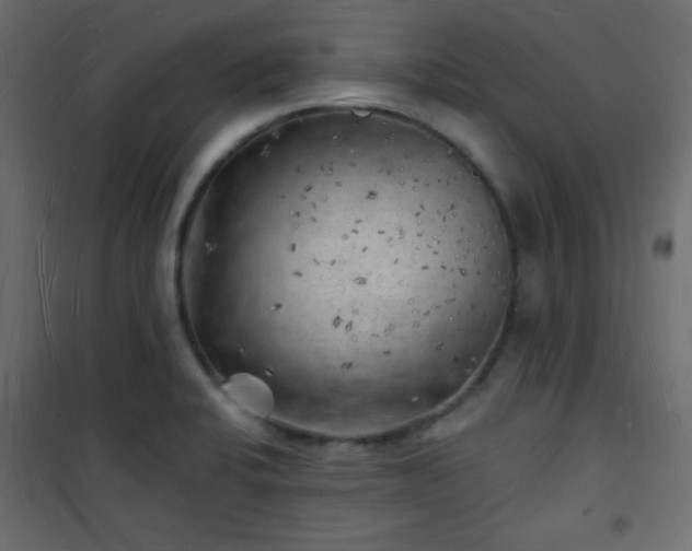 X0000101471424200807141340