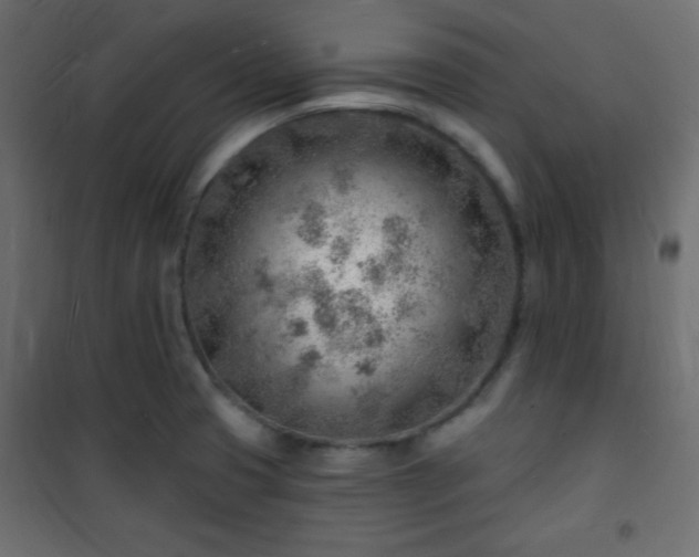 X0000101471425200807141340