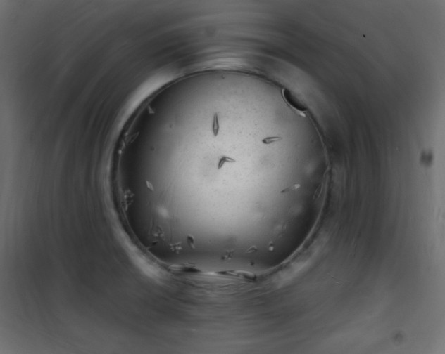 X0000101471426200807141340