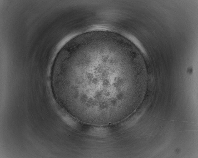 X0000101471427200807141340