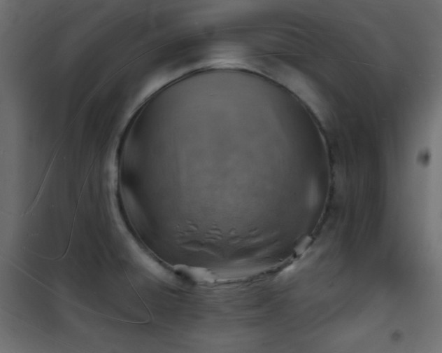 X0000101471428200807141340