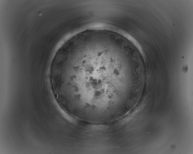X0000101471429200807141340