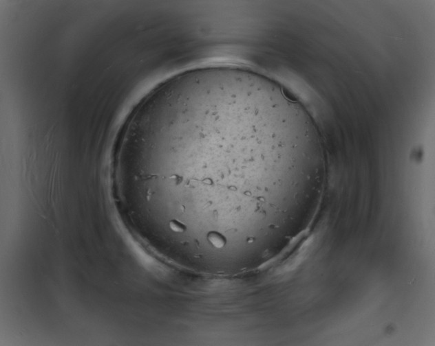 X0000101471430200807141340