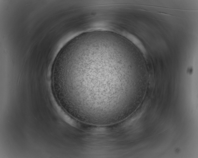 X0000101471431200807141340
