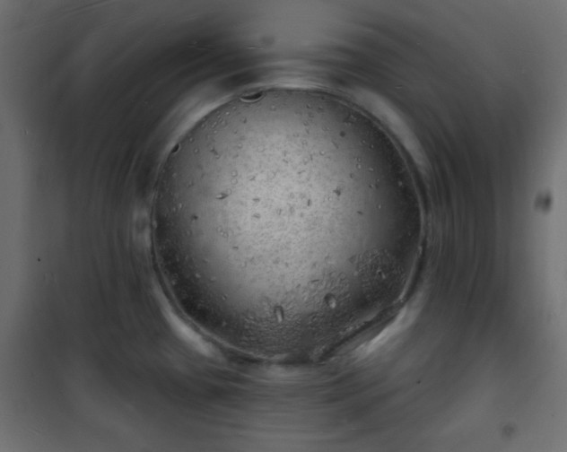 X0000101471433200807141340