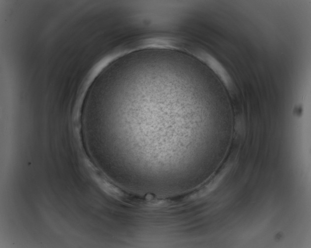 X0000101471435200807141340