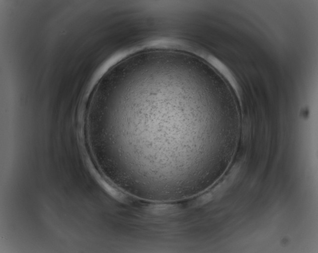 X0000101471437200807141340