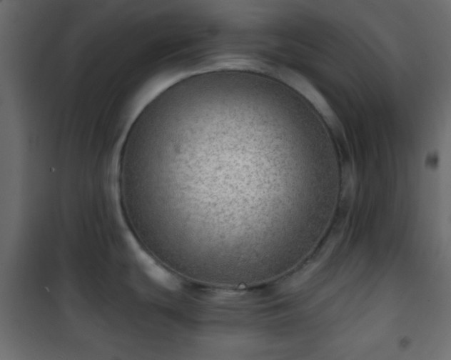 X0000101471439200807141340