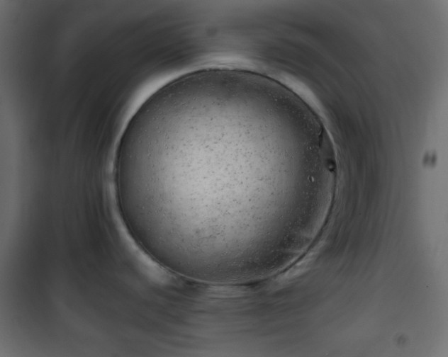 X0000101471440200807141340