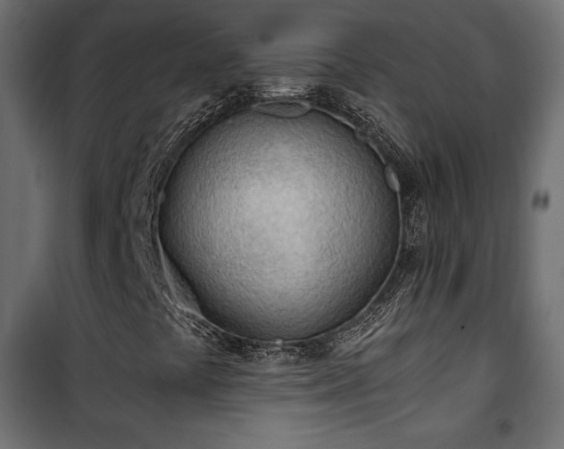 X0000101471441200807141340