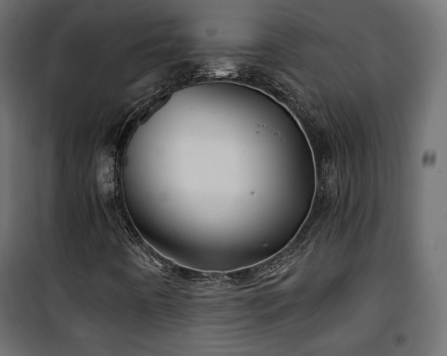 X0000101471442200807141340