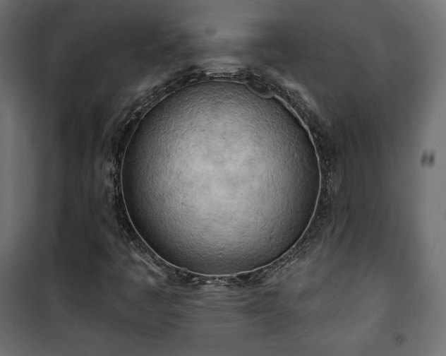 X0000101471445200807141340