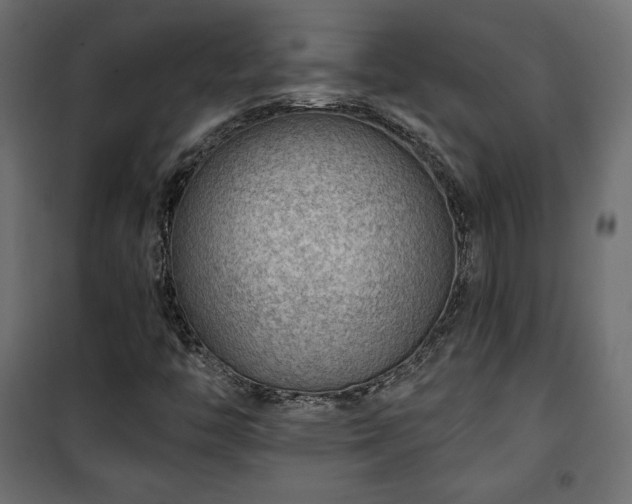 X0000101471446200807141340