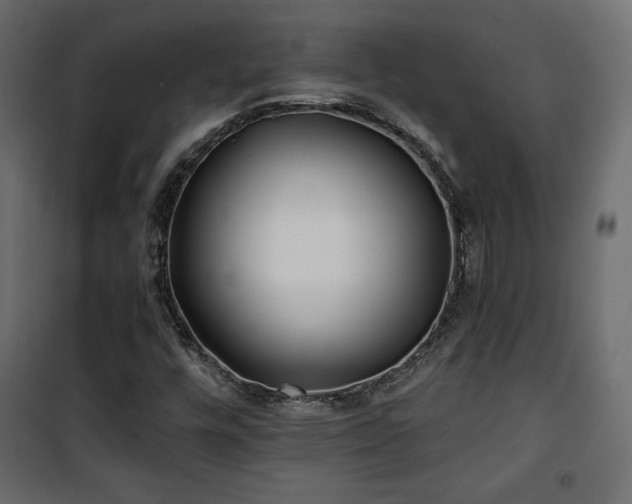 X0000101471448200807141340