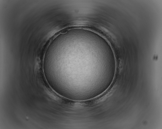 X0000101471449200807141340