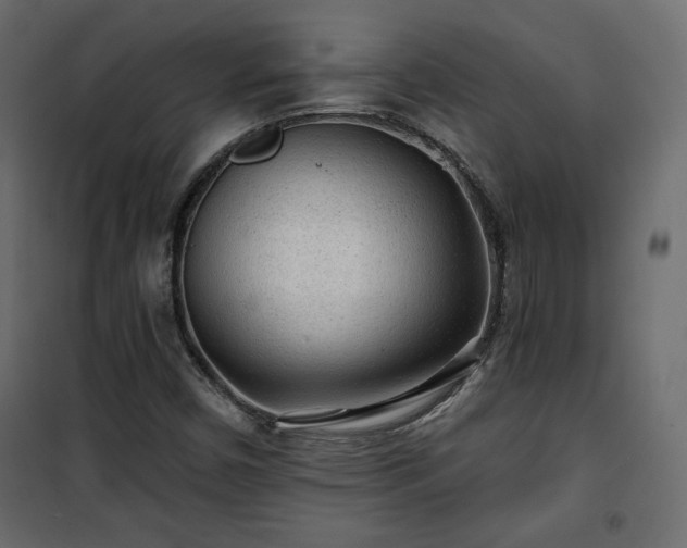 X0000101471450200807141340