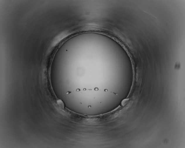 X0000101471453200807141340