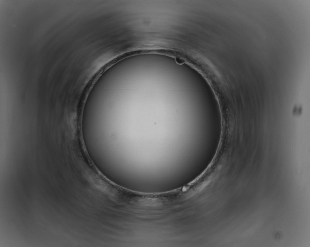 X0000101471457200807141339